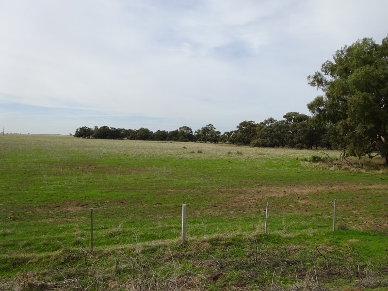 225 Streckfuss Road, Mathoura NSW 2710