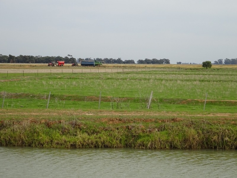 225 Streckfuss Road, Mathoura NSW 2710