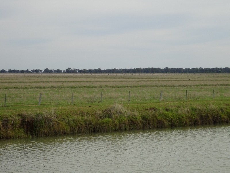 225 Streckfuss Road, Mathoura NSW 2710