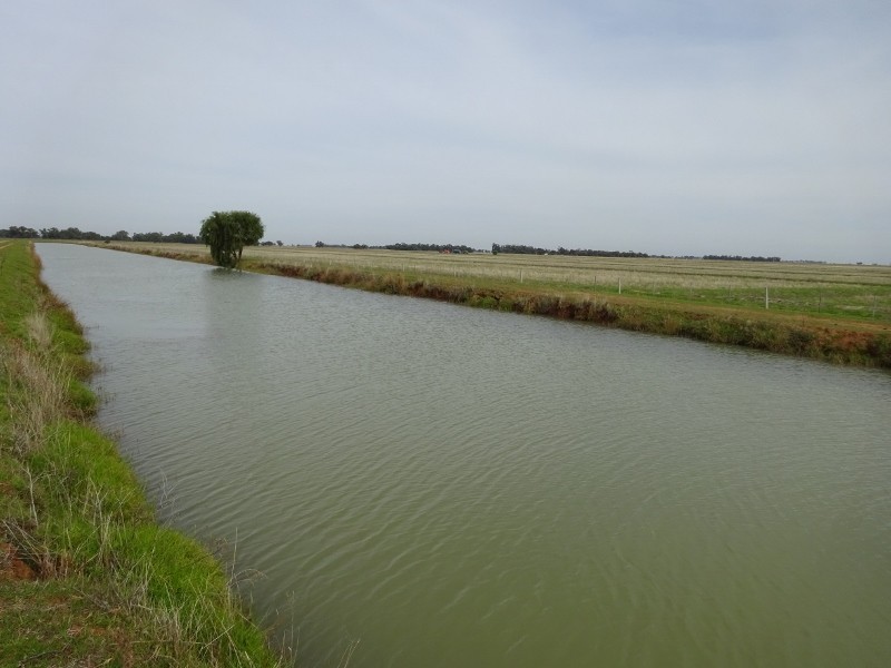 225 Streckfuss Road, Mathoura NSW 2710