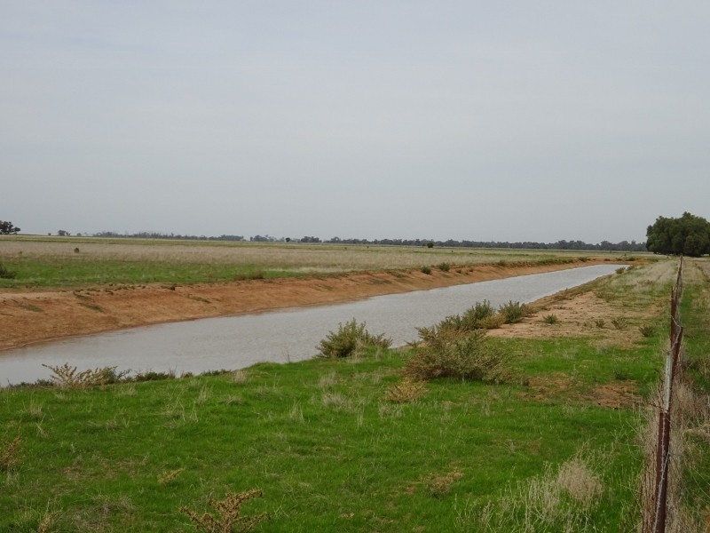 225 Streckfuss Road, Mathoura NSW 2710