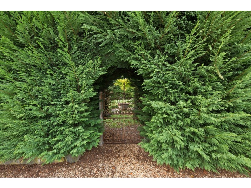 196 Gehreys Lane, Kilmore VIC 3764