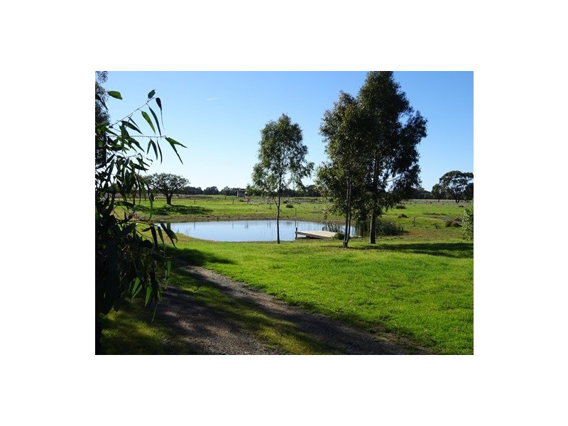 117a Perricoota Forest Road, Moama NSW 2731