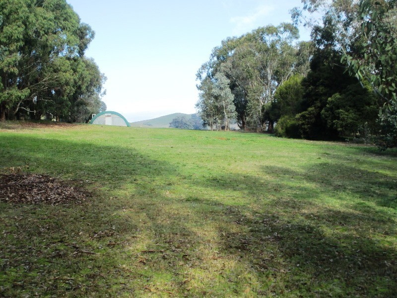 49 HALLS FLAT ROAD, Alexandra VIC 3714