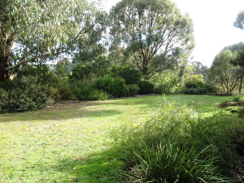 49 HALLS FLAT ROAD, Alexandra VIC 3714