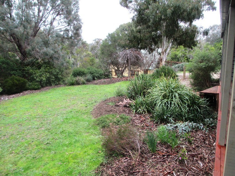 49 HALLS FLAT ROAD, Alexandra VIC 3714