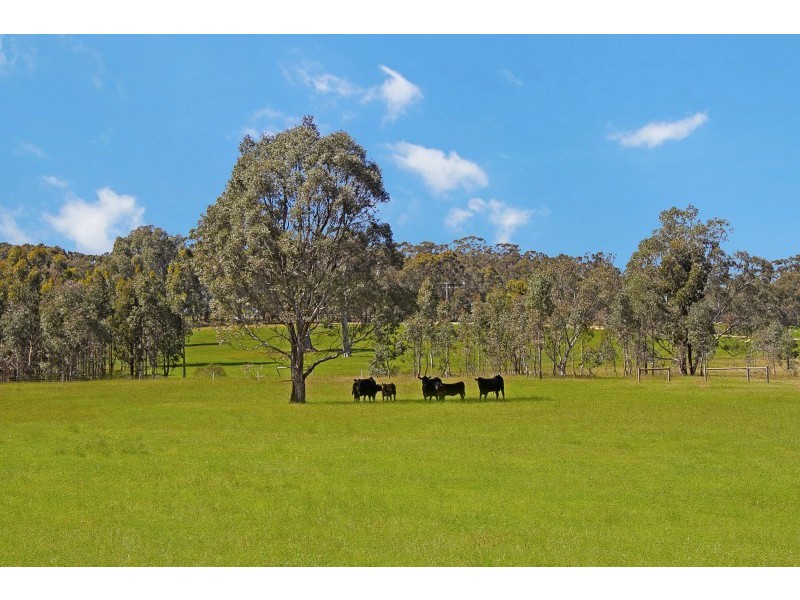 375 THREE CHAIN ROAD, Kilmore VIC 3764