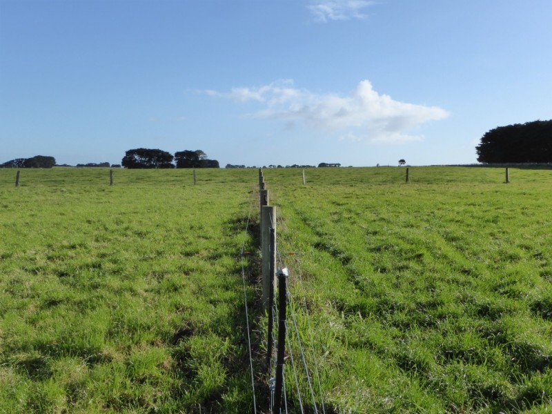 300 O’Sullivans Road, Warrnambool VIC 3280