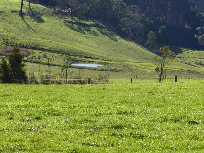 400 (CA’s 8 and 8A ) East Greenwald Road, Greenwald VIC 3304