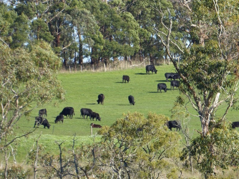 400 (CA’s 8 and 8A ) East Greenwald Road, Greenwald VIC 3304