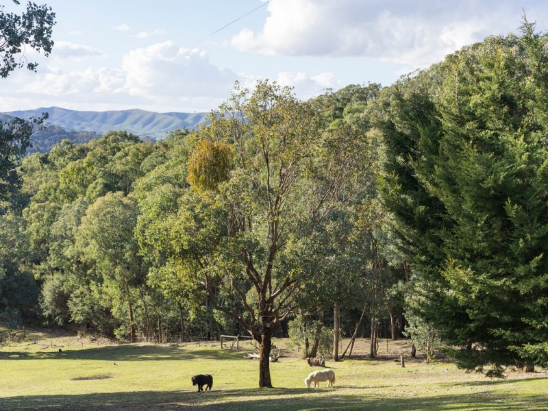 625 Crystal Creek Road, Alexandra VIC 3714