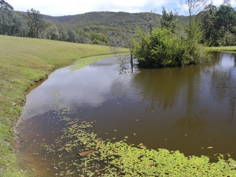 625 Crystal Creek Road, Alexandra VIC 3714