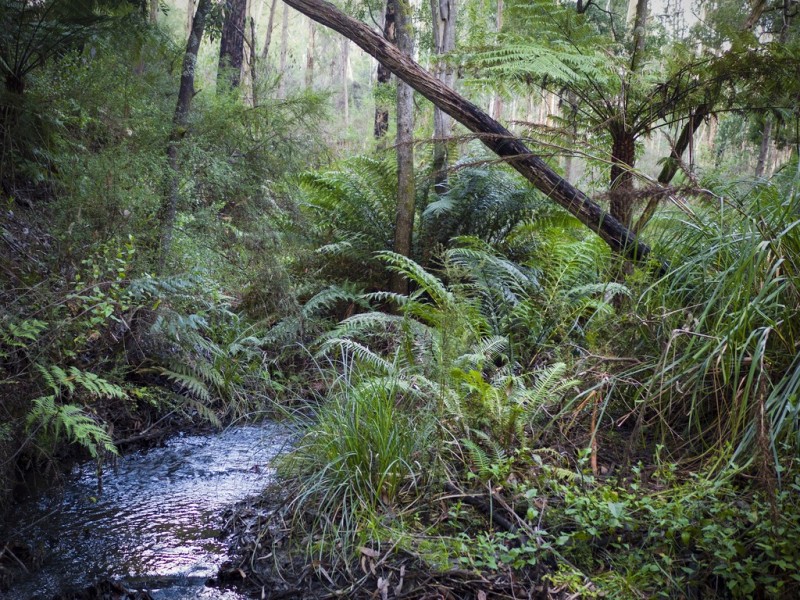 625 Crystal Creek Road, Alexandra VIC 3714