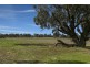 52 Kettels Road, Kirwans Bridge VIC 3608