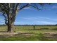 52 Kettels Road, Kirwans Bridge VIC 3608