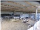 102 Gleesons Lane, Purnim VIC 3278