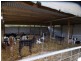 102 Gleesons Lane, Purnim VIC 3278
