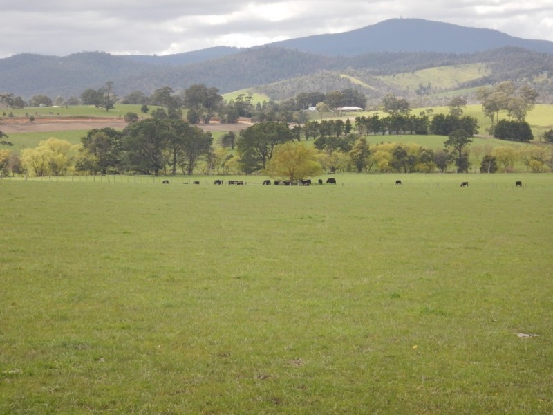 104-106 Bleases Lane, Yarra Glen VIC 3775