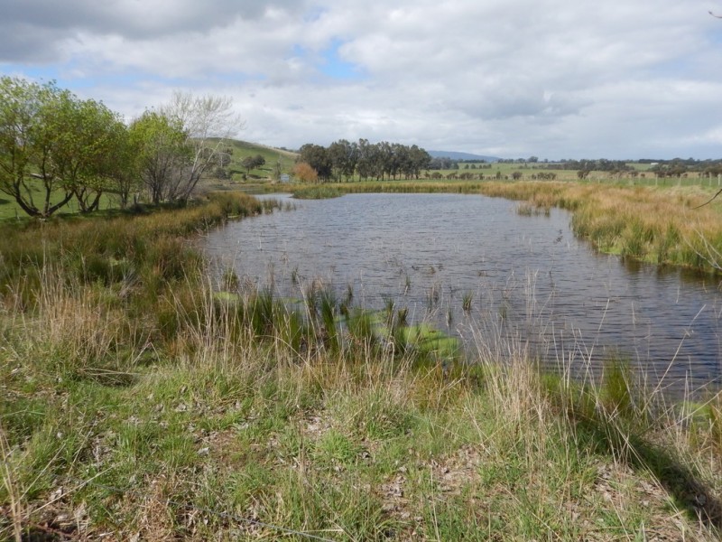 104-106 Bleases Lane, Yarra Glen VIC 3775