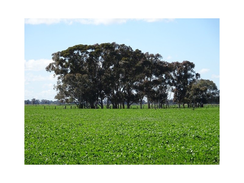 . Tehan and Fraser Road, Koyuga VIC 3622