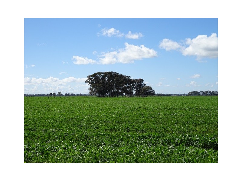 . Tehan and Fraser Road, Koyuga VIC 3622