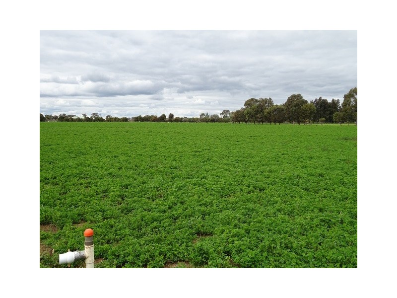 537 MITIAMO ROAD, Echuca VIC 3564