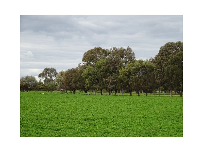 537 MITIAMO ROAD, Echuca VIC 3564