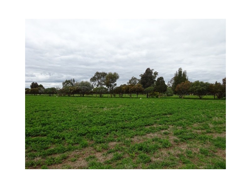 537 MITIAMO ROAD, Echuca VIC 3564