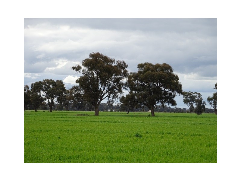 LOT 1 MYALL ROAD, Moama NSW 2731