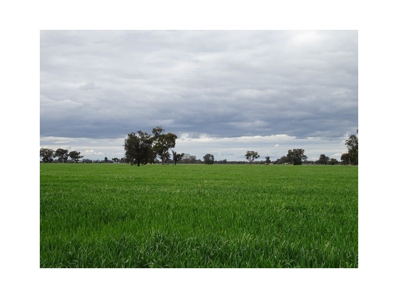 LOT 1 MYALL ROAD, Moama NSW 2731