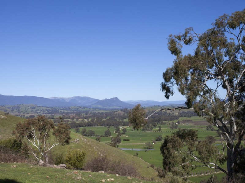 159 Halls Flat Road, Alexandra VIC 3714