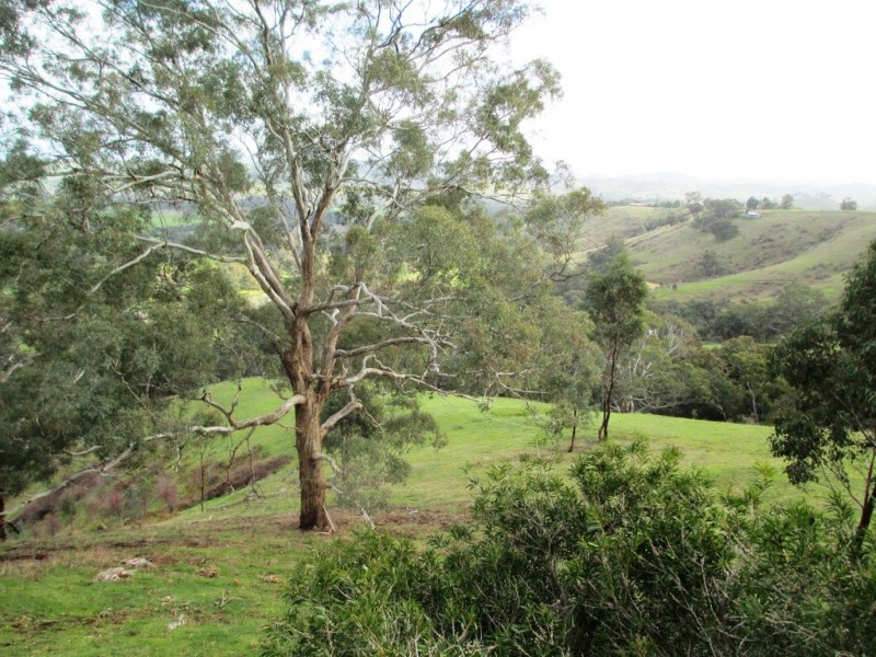 159 Halls Flat Road, Alexandra VIC 3714