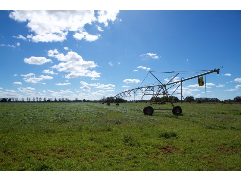 4209 Goulburn Valley Highway, Katunga VIC 3640