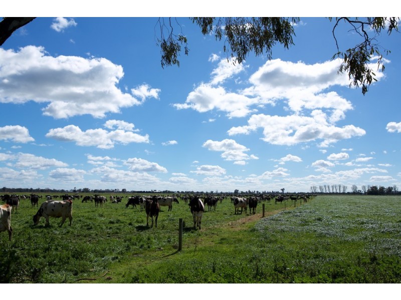 4209 Goulburn Valley Highway, Katunga VIC 3640