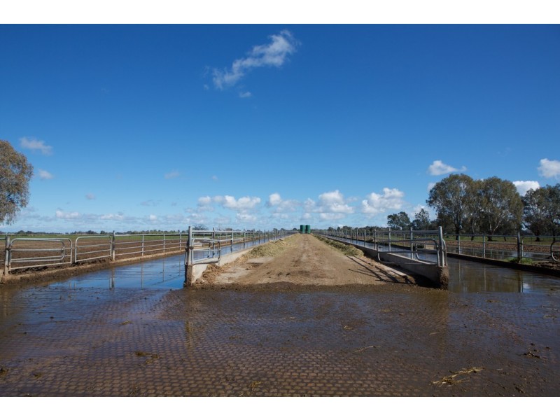 4209 Goulburn Valley Highway, Katunga VIC 3640