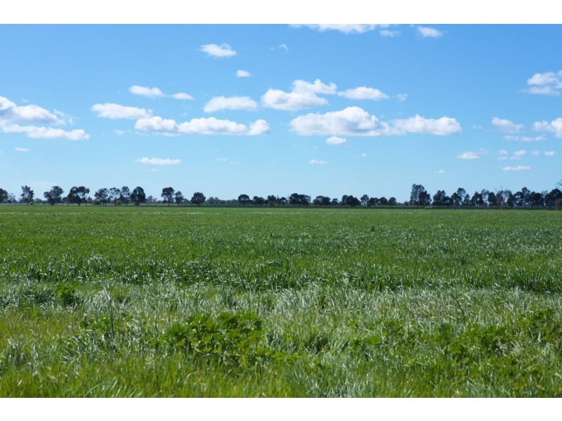 4209 Goulburn Valley Highway, Katunga VIC 3640
