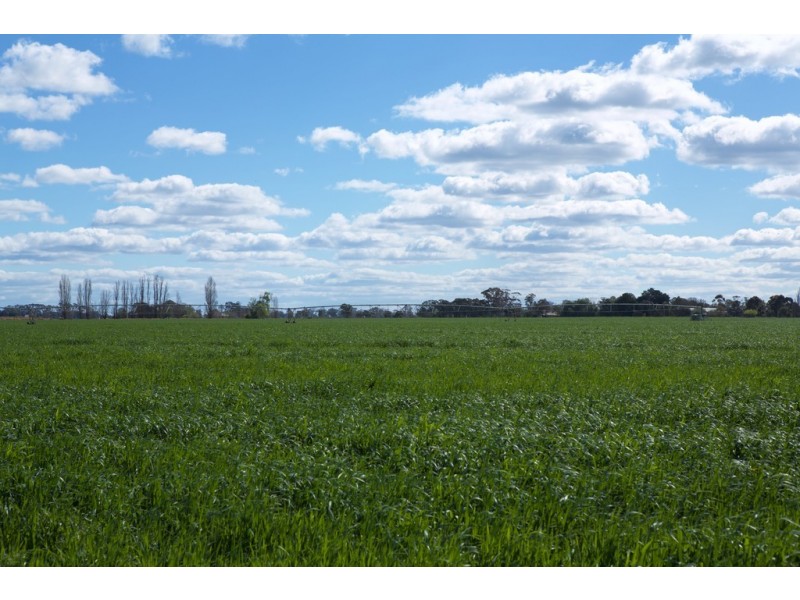 4209 Goulburn Valley Highway, Katunga VIC 3640