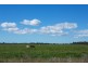 4209 Goulburn Valley Highway, Katunga VIC 3640
