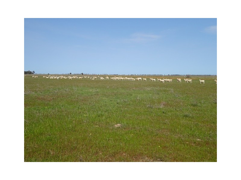 . TAMARA and MT TERRICKS ROAD, Echuca VIC 3564