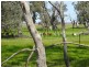. TAMARA and MT TERRICKS ROAD, Echuca VIC 3564