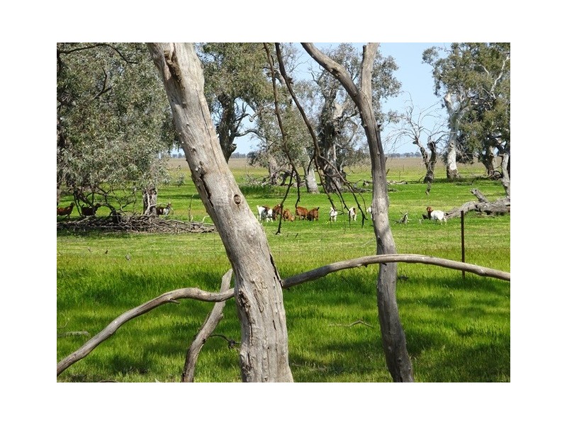 . TAMARA and MT TERRICKS ROAD, Echuca VIC 3564