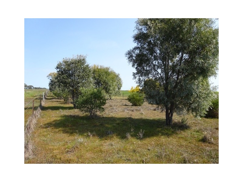 . MT TERRICK and HATWELL ROAD, Echuca VIC 3564