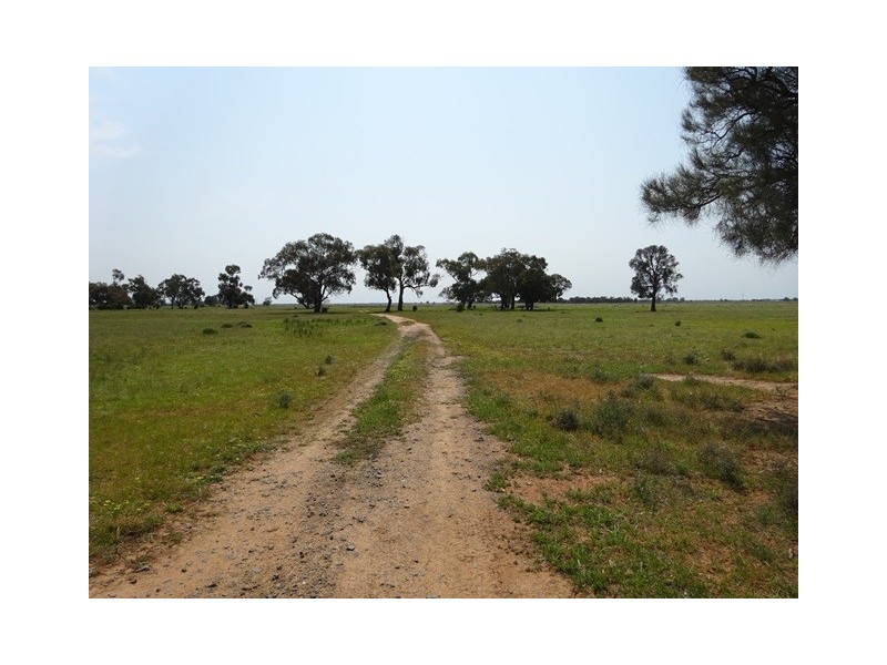 . MT TERRICK and HATWELL ROAD, Echuca VIC 3564