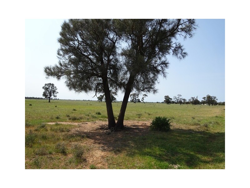 . MT TERRICK and HATWELL ROAD, Echuca VIC 3564