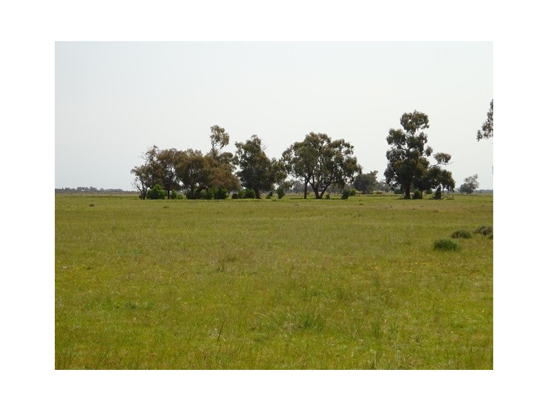 . MT TERRICK and HATWELL ROAD, Echuca VIC 3564