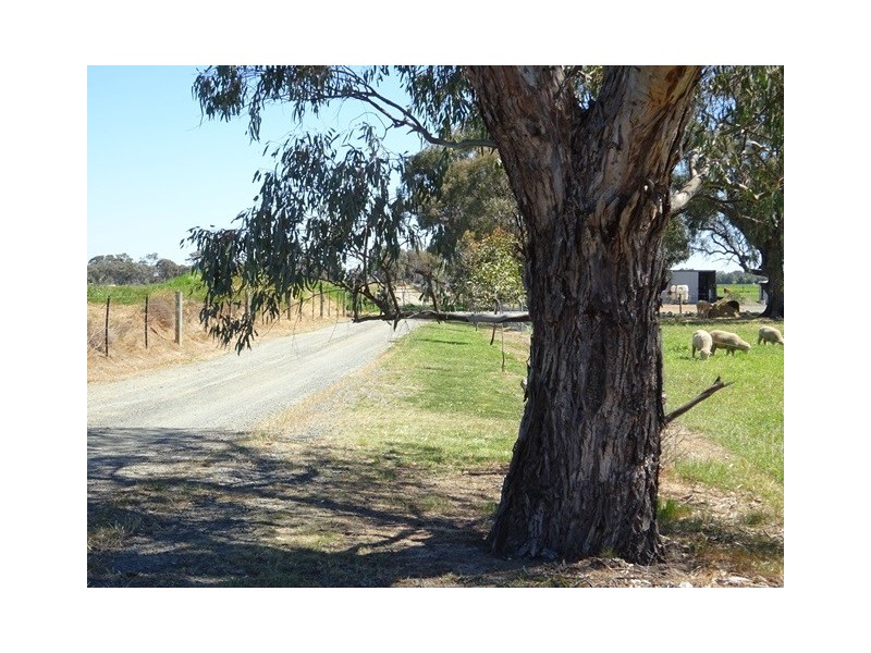 592 LOOKER ROAD, Echuca VIC 3564