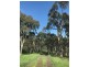 Lot 2, 8301 Goulburn Valley Hwy, Trawool VIC 3660