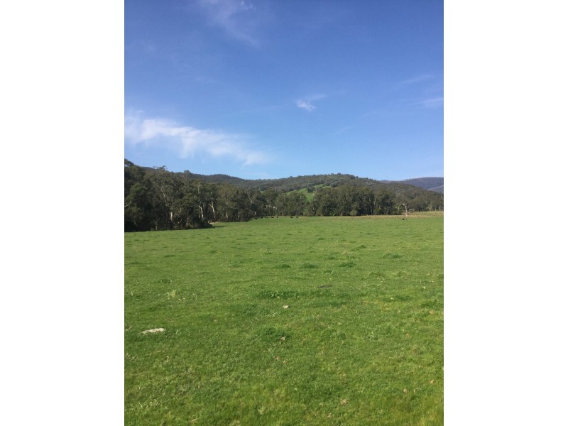 1187 Murrindindi Road, Murrindindi VIC 3717