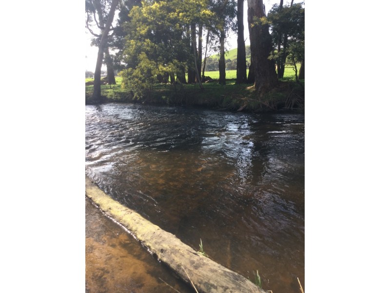 1187 Murrindindi Road, Murrindindi VIC 3717