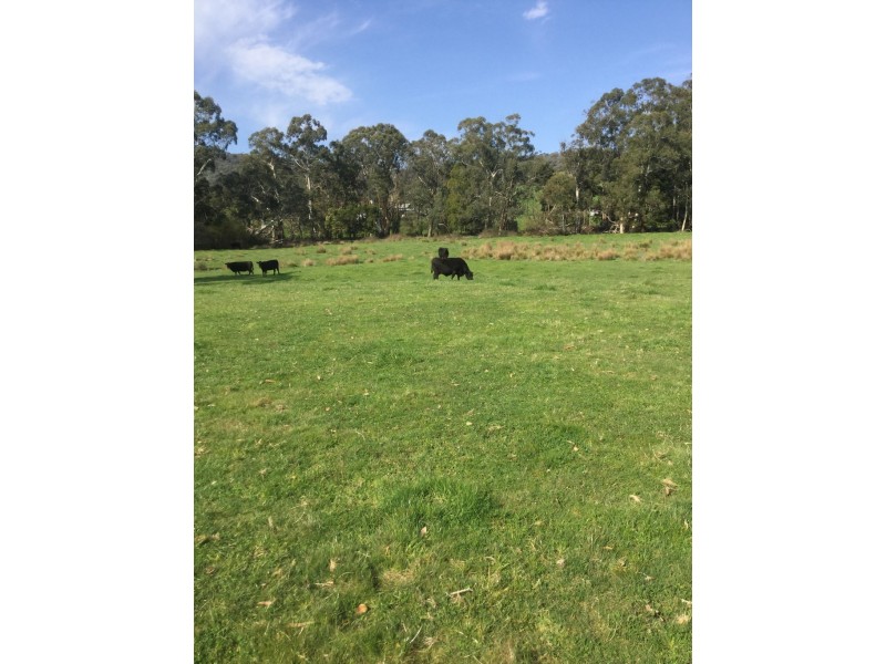 1187 Murrindindi Road, Murrindindi VIC 3717